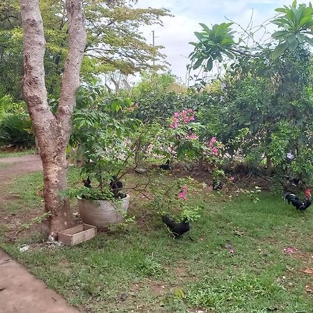 Chacara Pousada Sagui Cuiabá Dış mekan fotoğraf